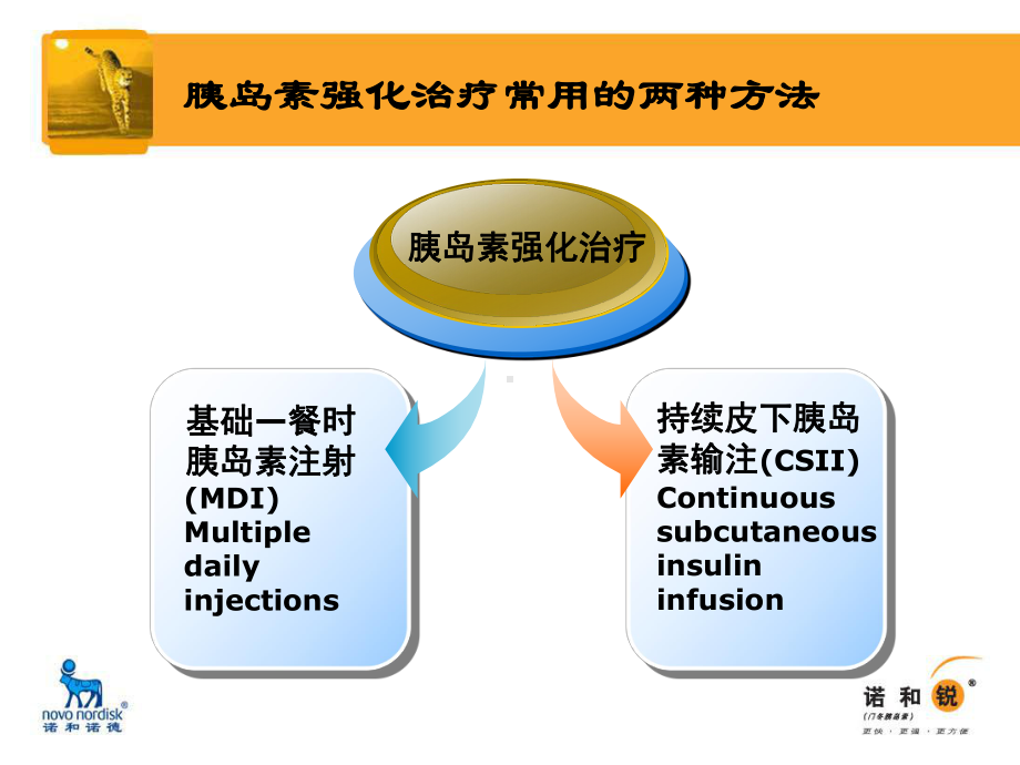 诺和锐GSA--胰岛素泵篇课件.ppt_第3页