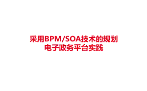 采用BPMSOA技术的规划电子政务平台实践课件.pptx