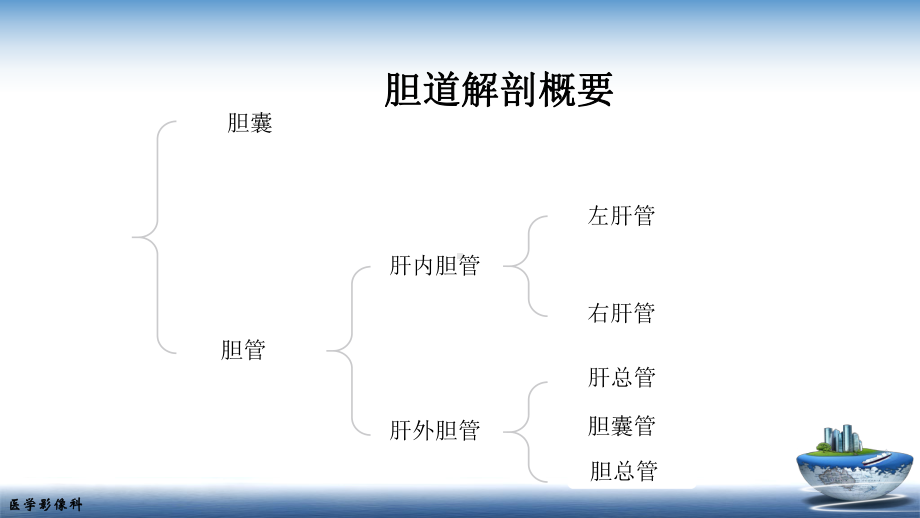 胆道系统的解剖课件.pptx_第3页