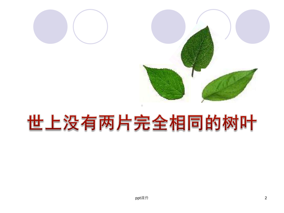 《人际沟通风格》课件.ppt_第2页