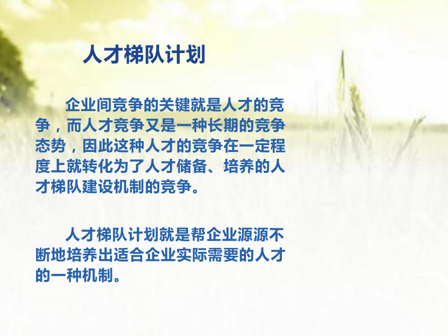 企业人才梯队计划-课件.ppt_第2页