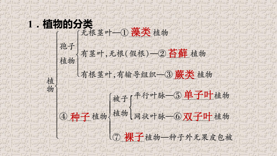 人教版八年级生物上册第六单元第一章习题课件.pptx_第2页