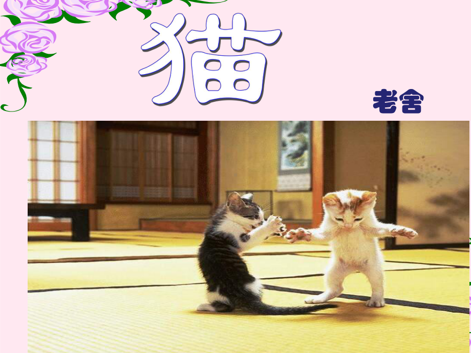 老舍的《猫》第二课时课件.ppt_第1页