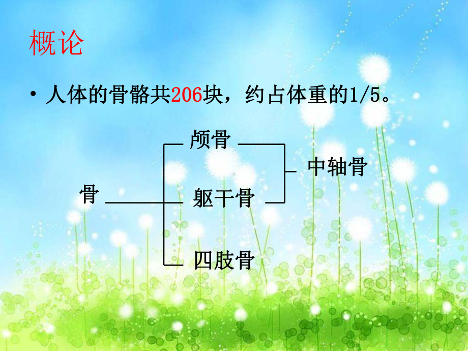 骨折概论-石膏固定-牵引的护理课件.ppt_第2页