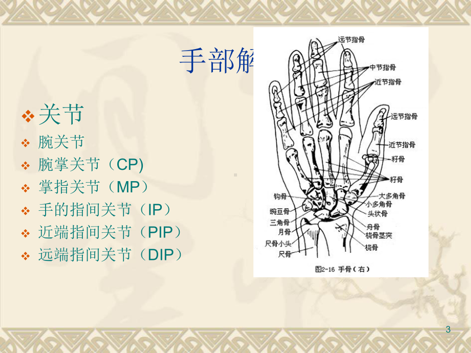 手功能的康复课件.ppt_第3页