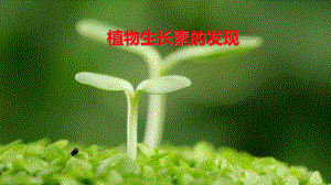 高中生物必修3《植物生长素的发现》课件.ppt