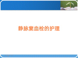 静脉窦血栓的护理课件.ppt