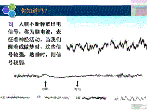 高中生物必修3-第二章-第二节-神经系统的结构与功能(第一课时)课件.ppt