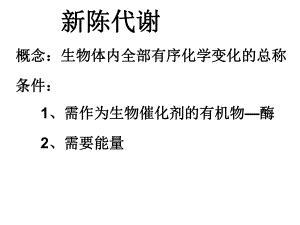 新陈代谢PPT课件.ppt