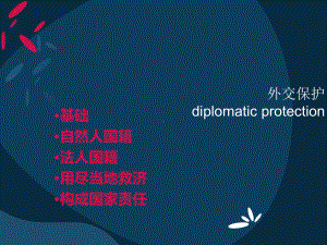 国际法教学讲解课件.ppt