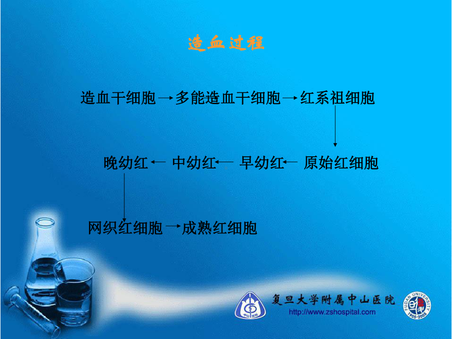 贫血诊断思路汇编课件.ppt_第3页