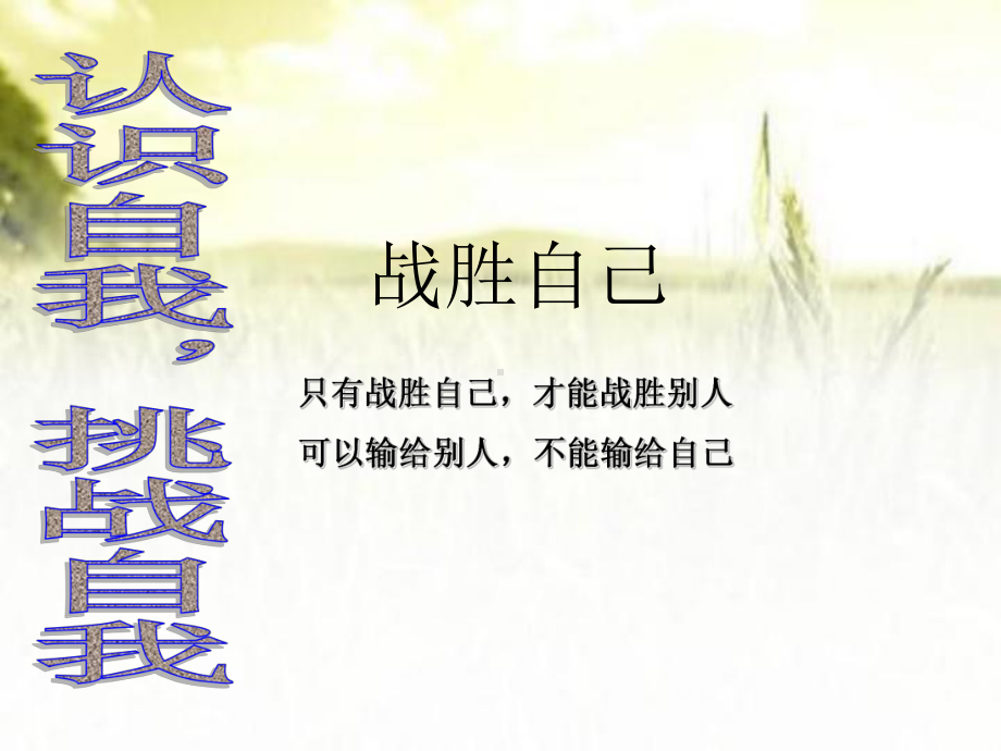 高中主题班会：挑战自我-课件.ppt_第1页