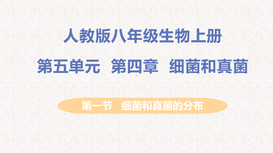 人教版八年级生物上册第五单元第四章细菌和真菌课件.pptx_第1页