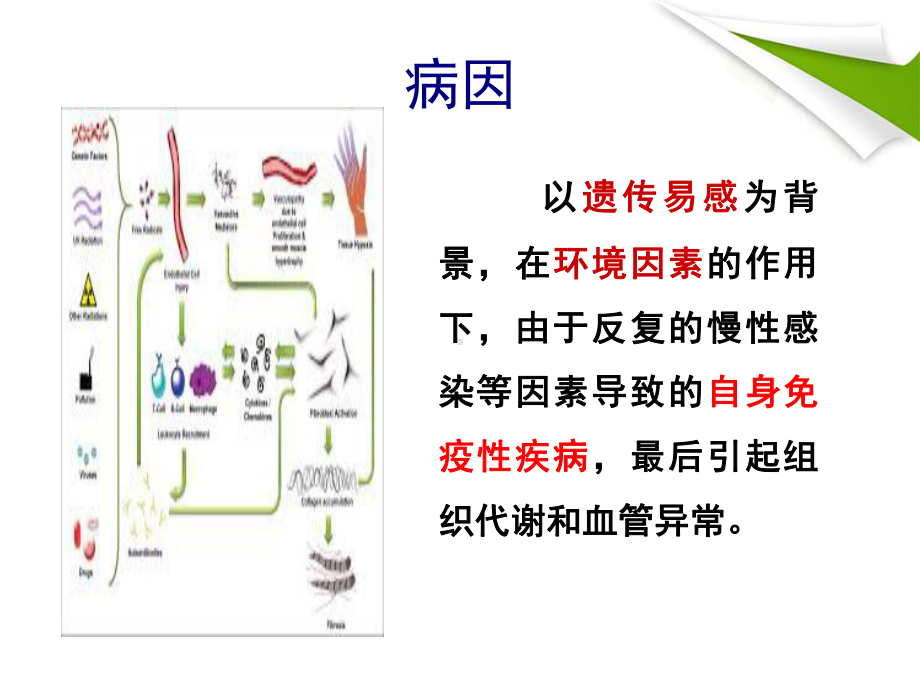 系统性硬化病一例课件.pptx_第3页