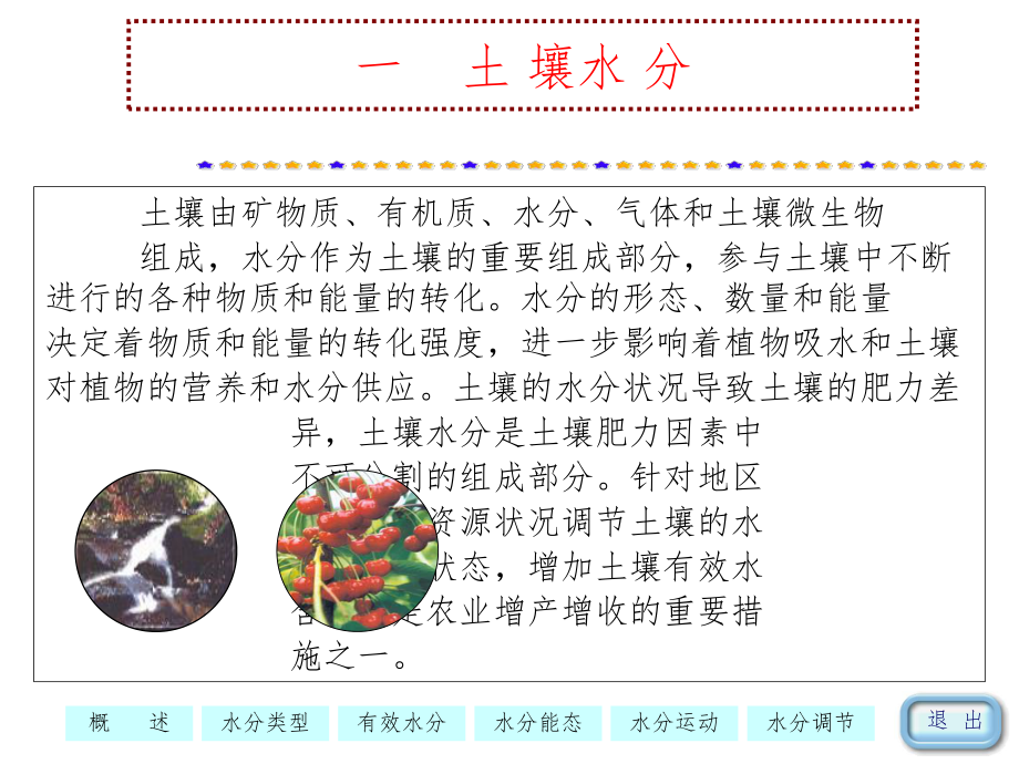 植物生长与水分环境课件.ppt_第3页