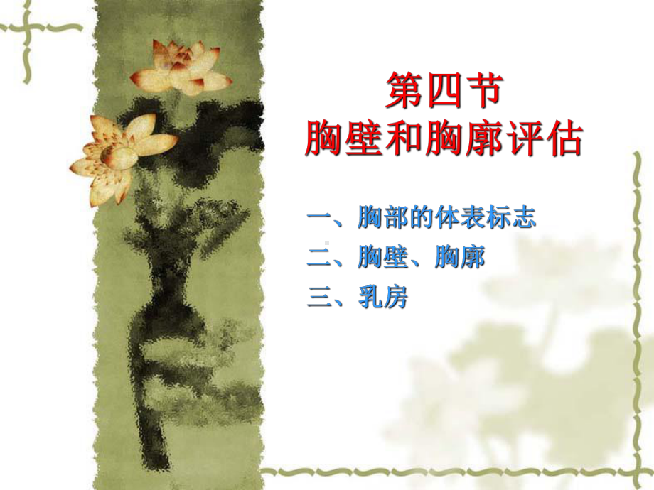 身体健康评估胸部评估课件.ppt_第1页