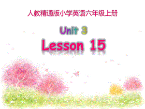 六年级上册英语课件－Unit3 Would you like to come to my birthday party？（Lesson15) ｜人教精通版 (共21张PPT).ppt