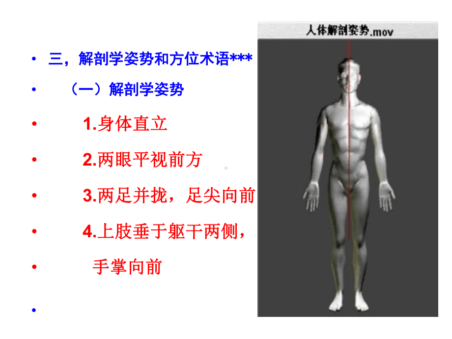 解剖生理学基础-第一章-绪论课件.ppt_第3页