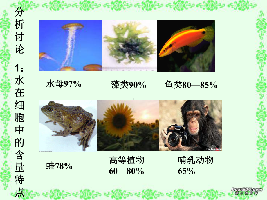 高一生物细胞中的无机物人教版0课件.ppt_第2页