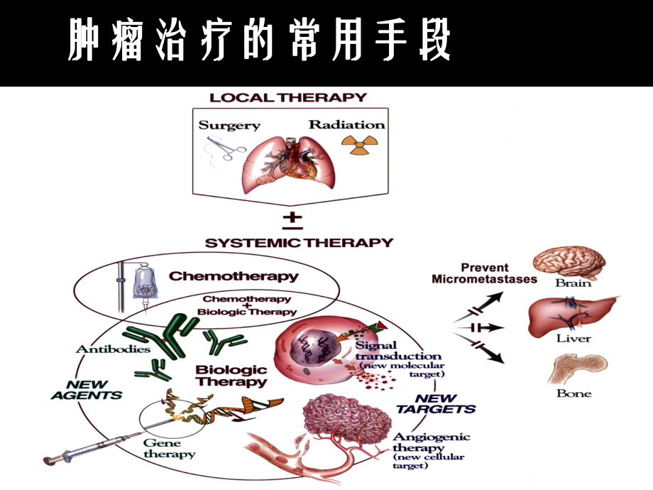 《肿瘤内科治疗—化疗药物分类及作用机制课件.ppt_第3页