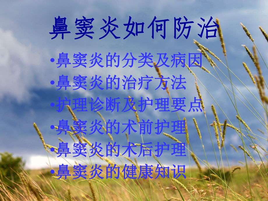 鼻窦炎的分类及护理课件.ppt_第2页