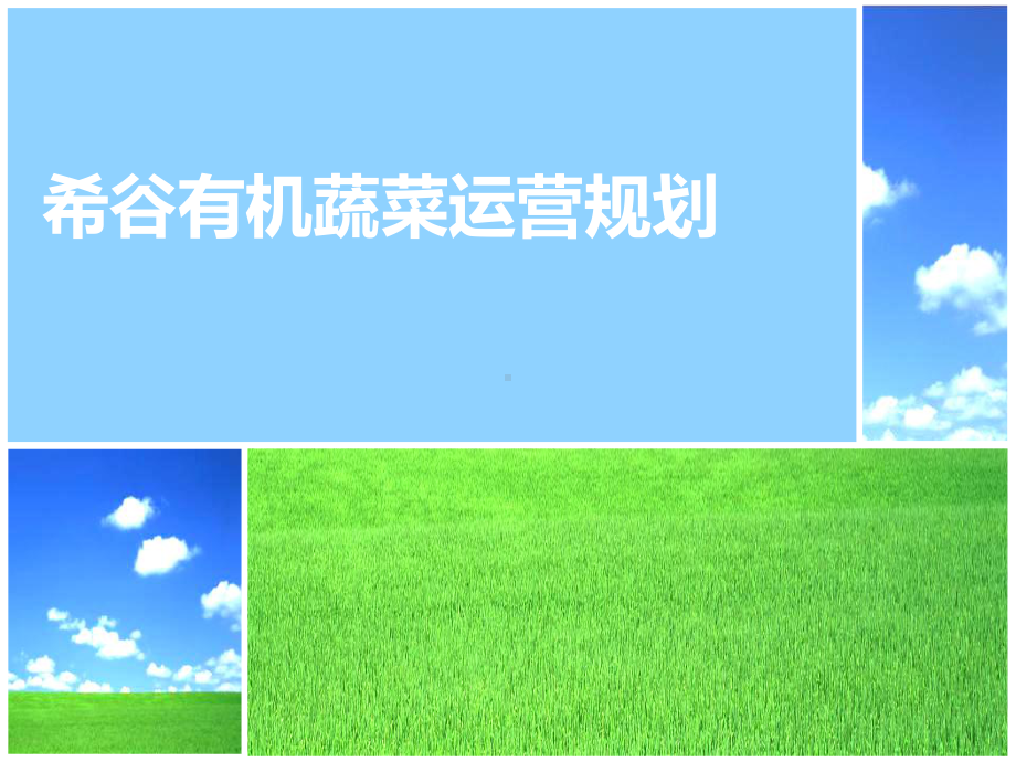 希谷有机蔬菜运营方案.ppt_第1页