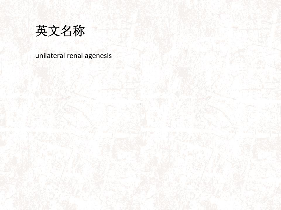 单侧肾缺如课件.ppt_第2页