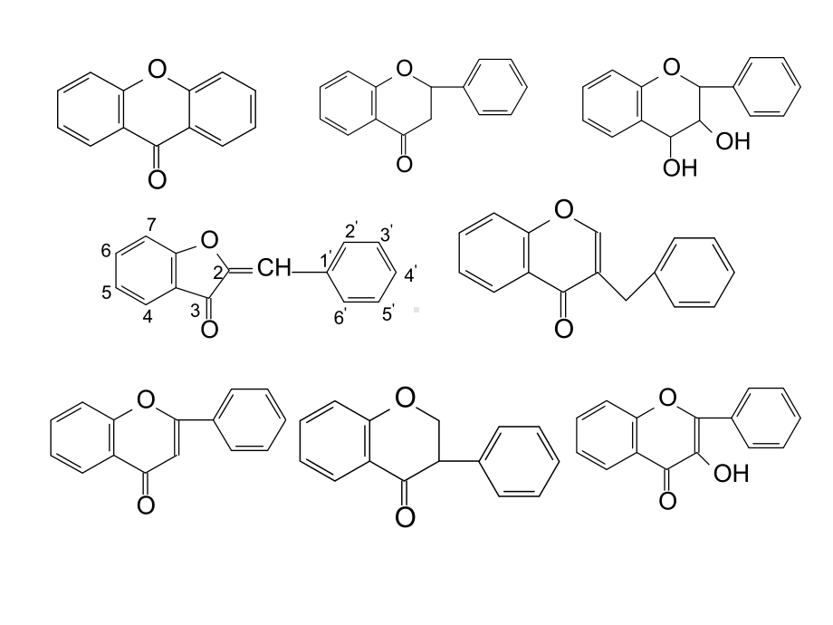 黄酮类化合物(张)1课件.ppt_第2页