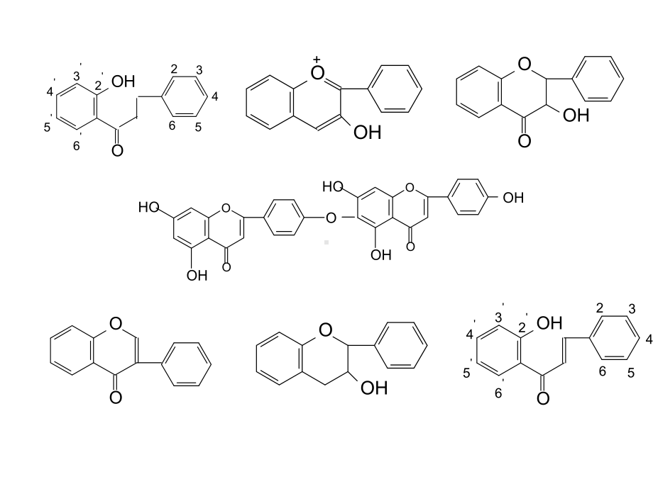 黄酮类化合物(张)1课件.ppt_第3页