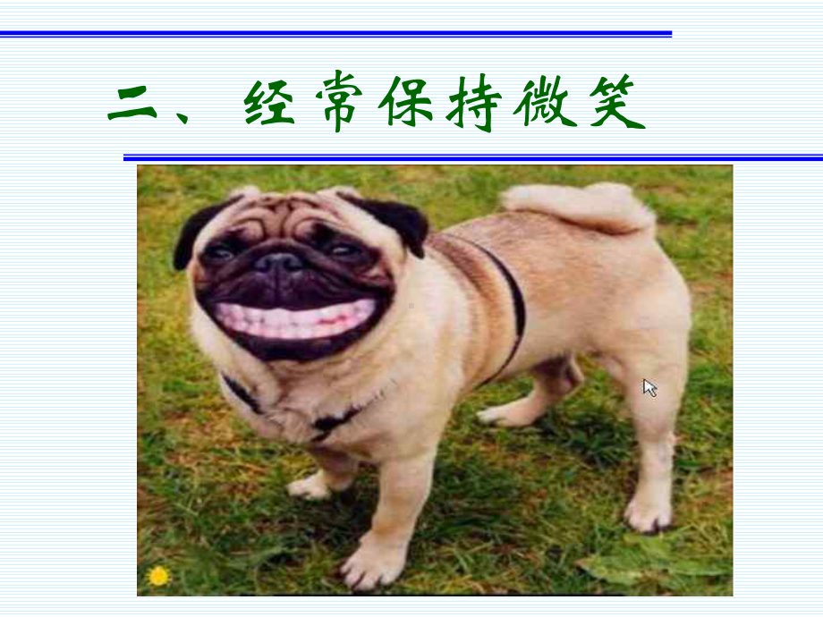 动物的快乐哲学PPT课件.ppt_第3页