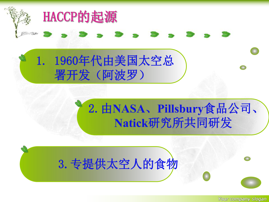 食品生产企业的HACCP体系课件.ppt_第3页