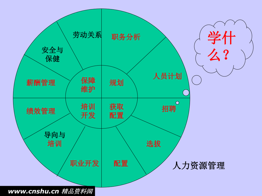 《人力资源管理》本科BBA讲义合集课件.ppt_第3页