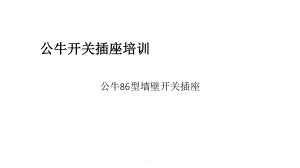 《公牛开关插座》课件.ppt