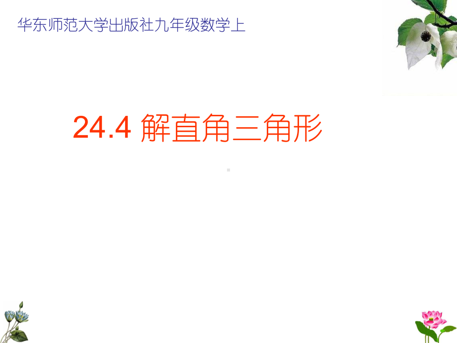 华东师大版九年级数学上册《24章解直角三角形复习题》公开课课件整理6.ppt_第1页