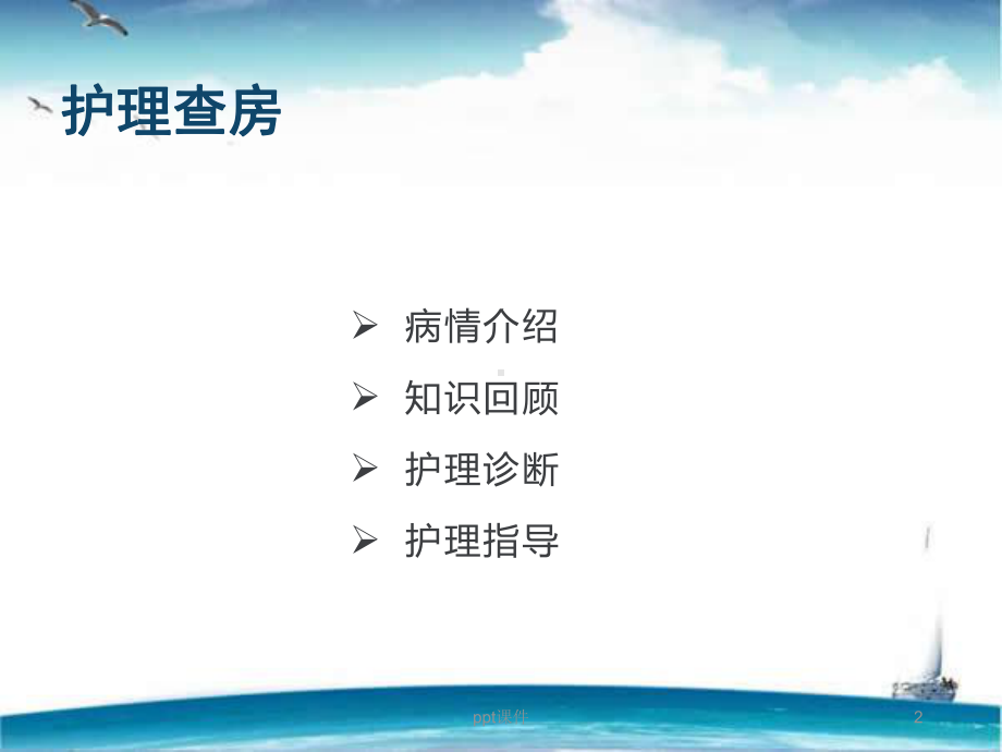 前置胎盘护理查房-课件.ppt_第2页