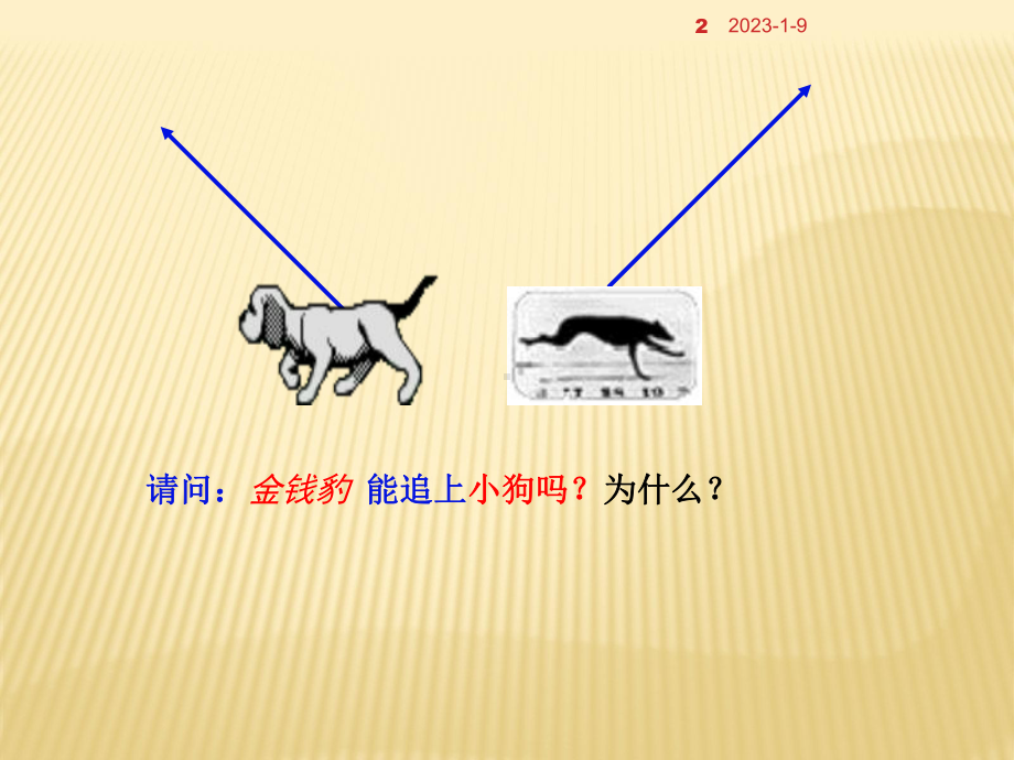 平面向量的实际背景及基本概念全课件.pptx_第2页