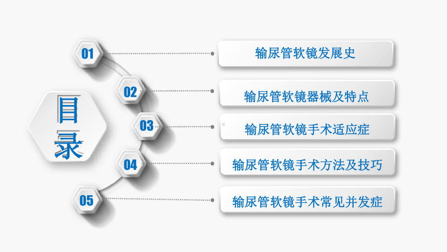 输尿管软镜在治疗肾结石中的应用和进展课件.pptx_第3页