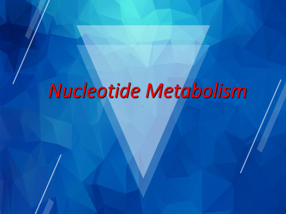 （生物化学）Nucleotide-Metabolism课件.pptx_第1页