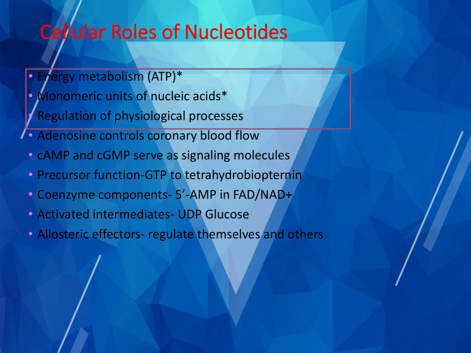 （生物化学）Nucleotide-Metabolism课件.pptx_第2页