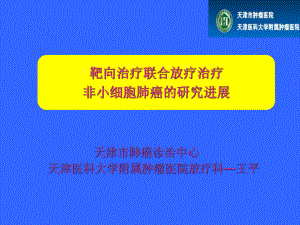 靶向联合放疗王平课件.ppt