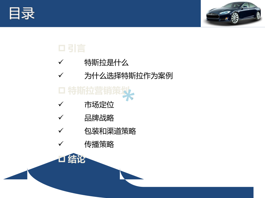 特斯拉营销策划方案.ppt_第2页