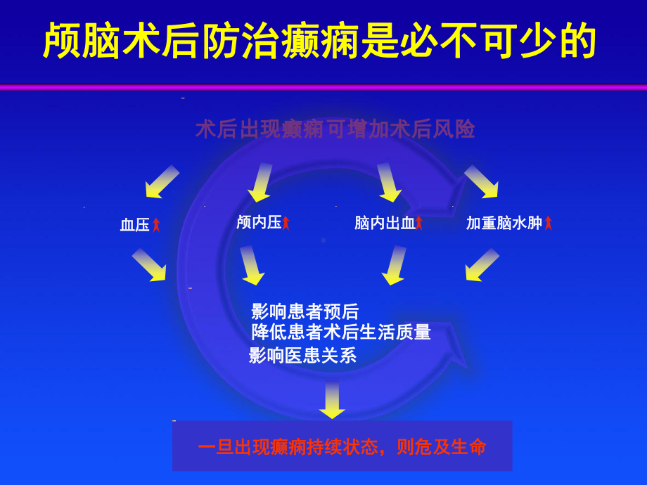 赛洛菲-德巴金课件.ppt_第3页