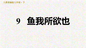 部编版九年级语文下册第三单元复习课件.pptx