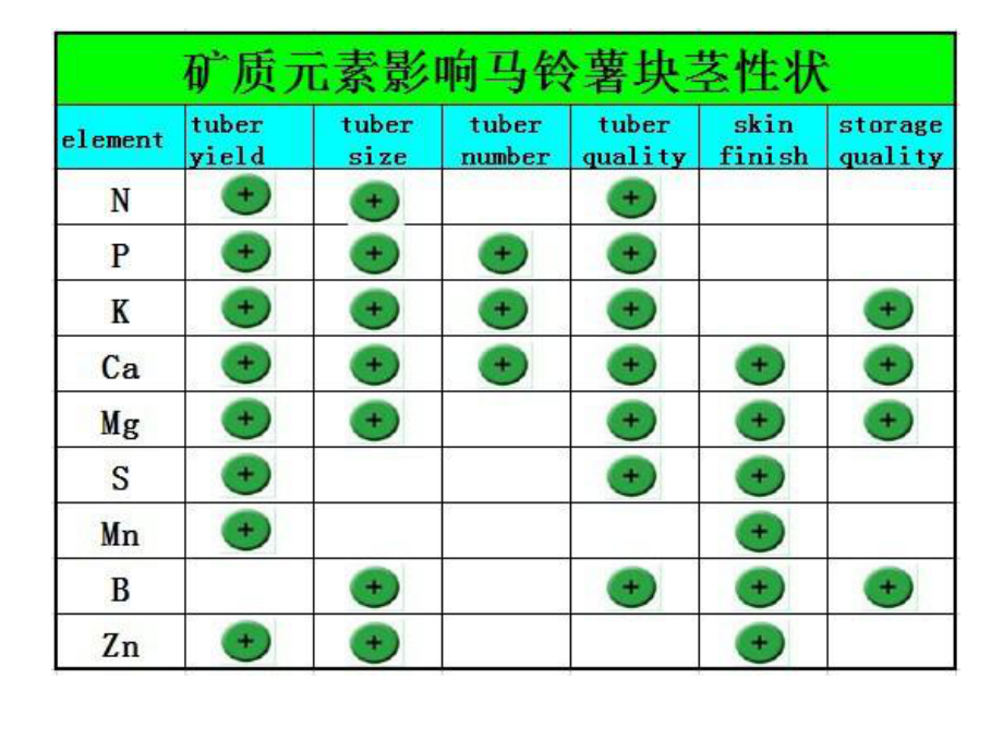 马铃薯矿质元素的作用与缺素症2020-1-5课件.ppt_第3页