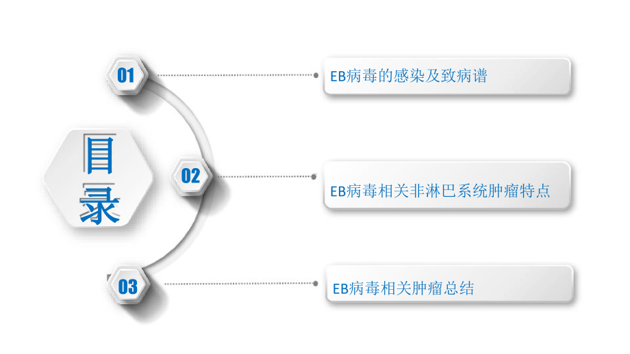 EBV相关非淋巴系统肿瘤课件.pptx_第2页