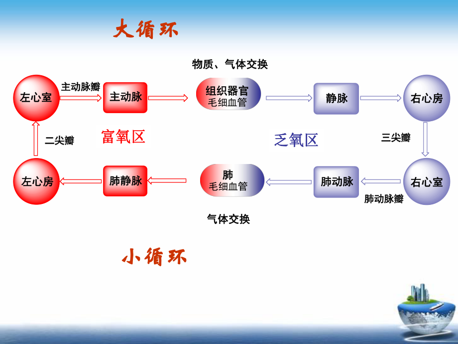 药物化学-第十二章-心血管药物-强心药课件.ppt_第3页