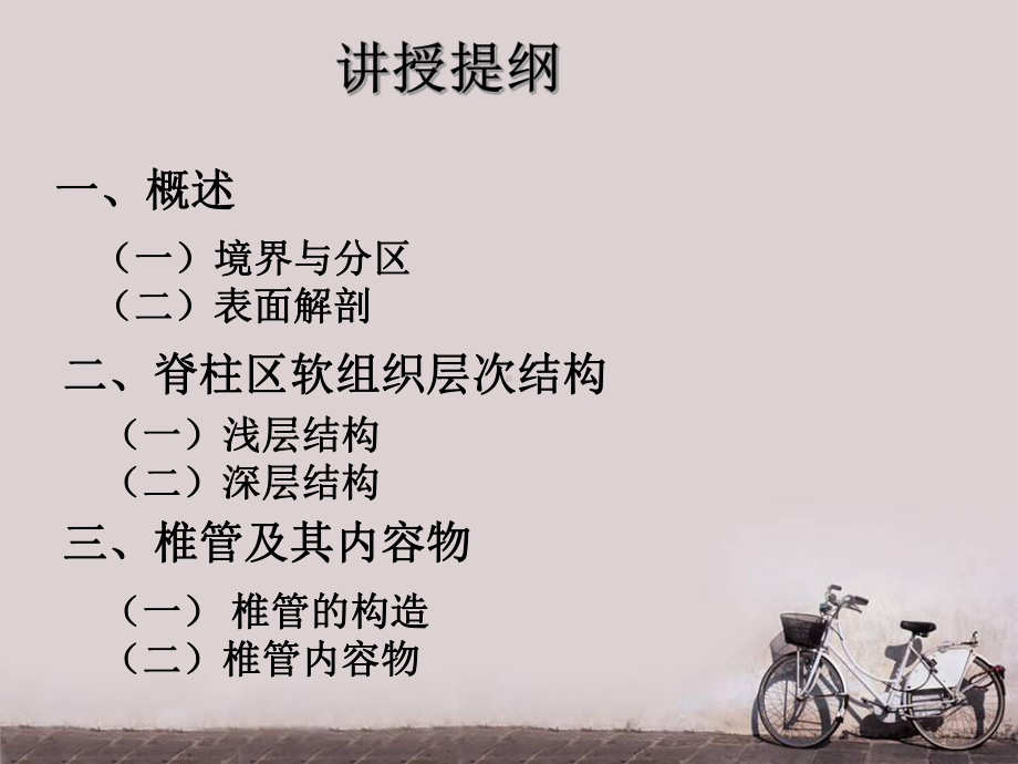 脊柱区解剖(局部解剖学)-课件.ppt_第2页