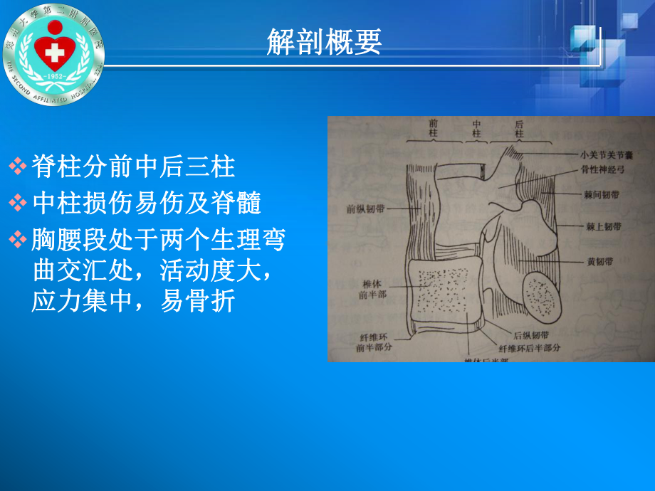 脊柱骨折和脊髓损伤1课件.ppt_第2页