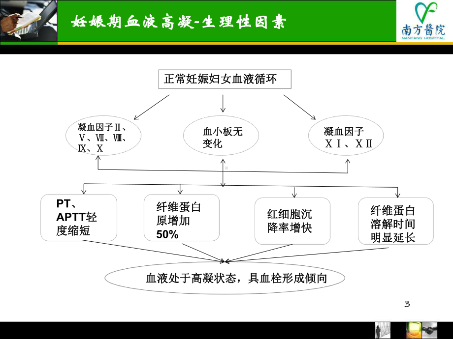 低分子肝素在产科应用-课件.ppt_第3页