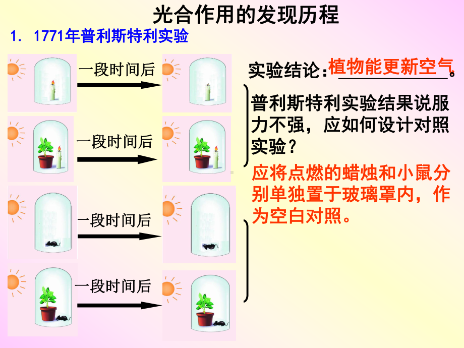 最新光合作用的原理和应用课件.ppt_第3页